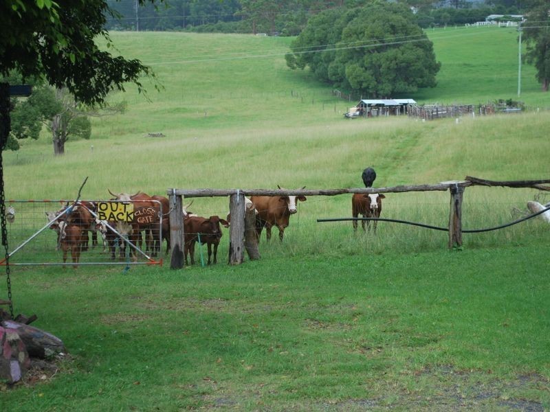 10 East Bonville Road, Bonville NSW 2441