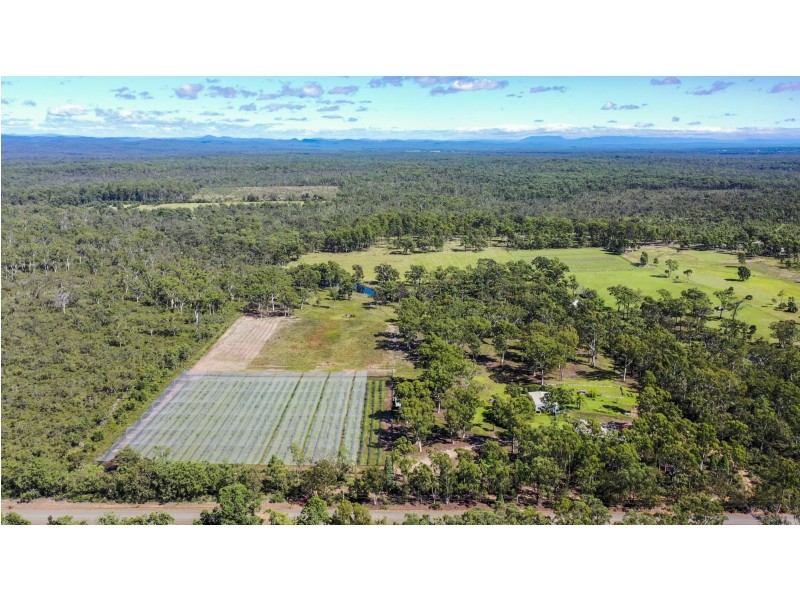 69 Florda Gold Drive, Wells Crossing NSW 2460