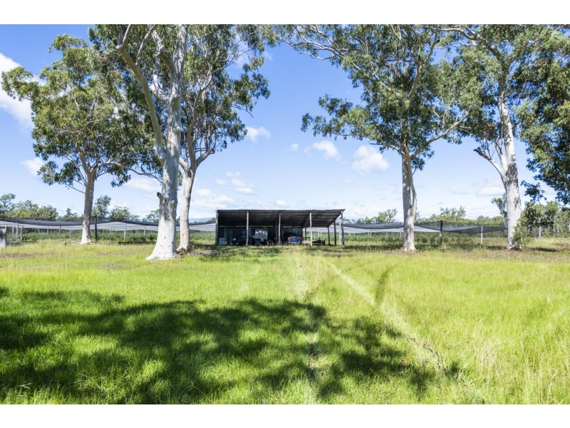 69 Florda Gold Drive, Wells Crossing NSW 2460
