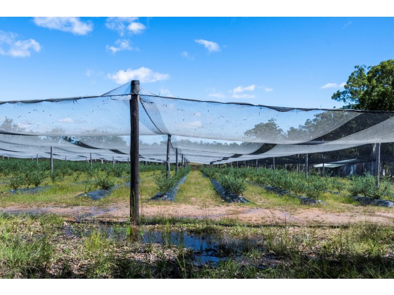 69 Florda Gold Drive, Wells Crossing NSW 2460
