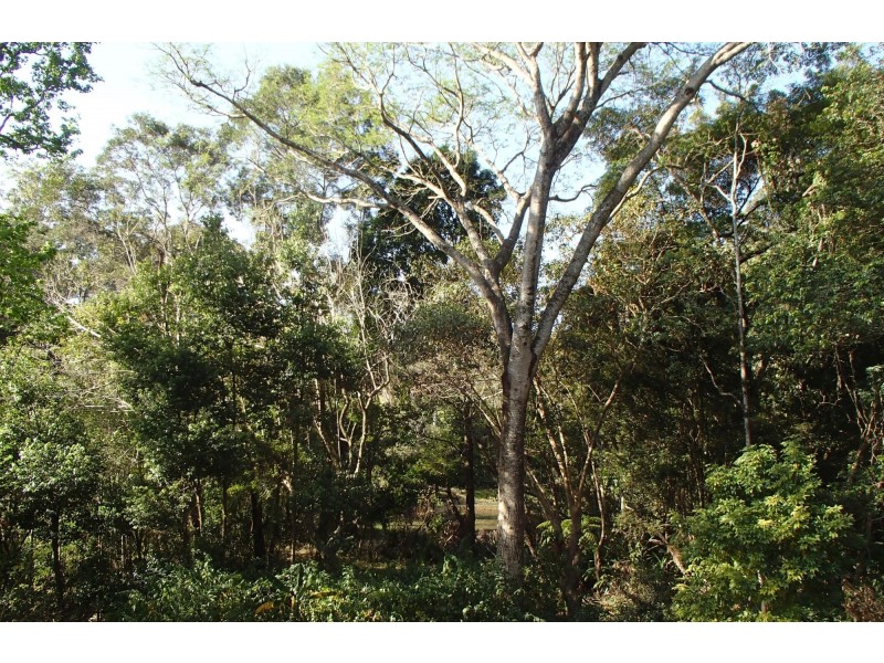 2/250A Pacific Highway, Coffs Harbour NSW 2450