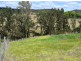 37 Grafton Street, Copmanhurst NSW 2460