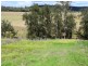 37 Grafton Street, Copmanhurst NSW 2460