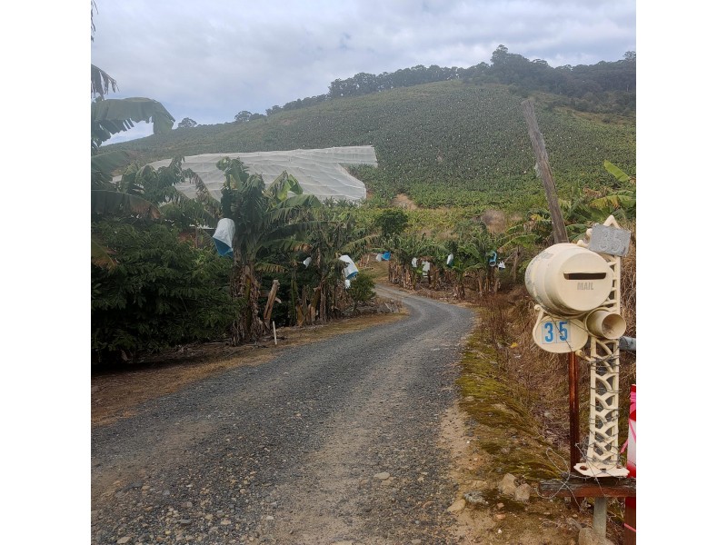 35 Bennetts Road, Coffs Harbour NSW 2450