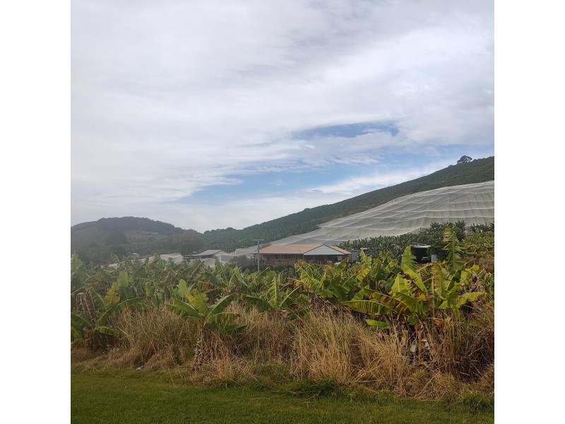 35 Bennetts Road, Coffs Harbour NSW 2450