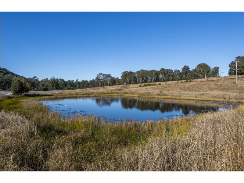 3610 Orara Way, Kremnos NSW 2460