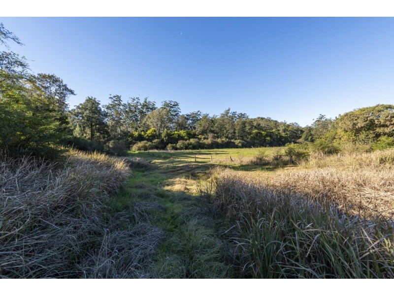 3610 Orara Way, Kremnos NSW 2460