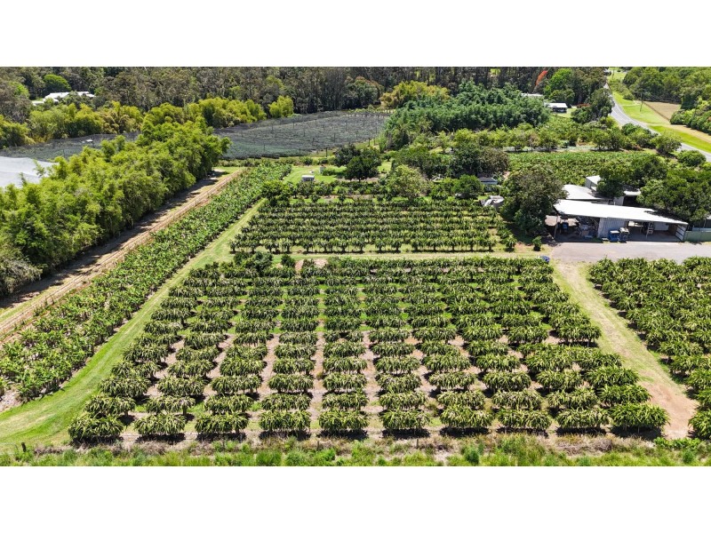 308 Pine Creek Way, Bonville NSW 2441