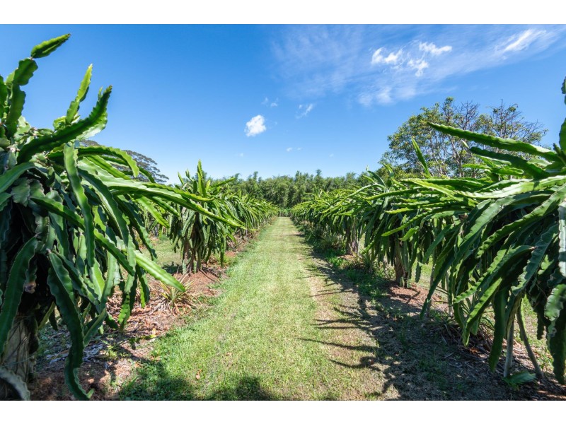 308 Pine Creek Way, Bonville NSW 2441