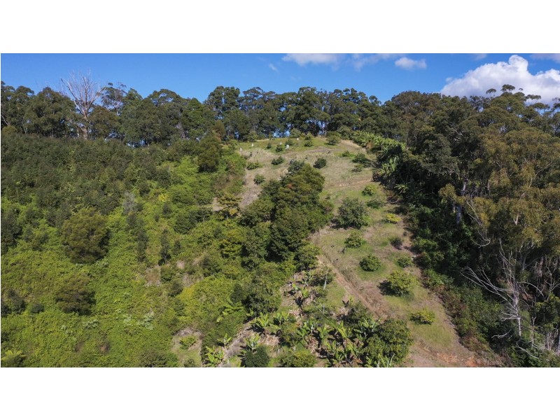 115c Bennetts Road, Coffs Harbour NSW 2450