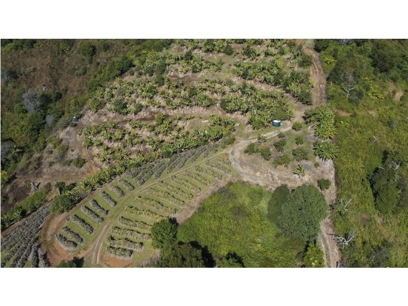 115c Bennetts Road, Coffs Harbour NSW 2450