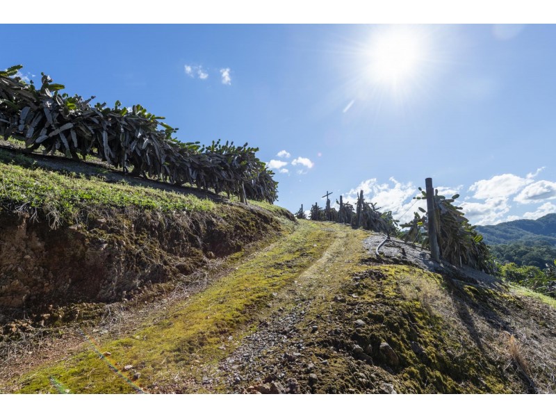 115B – 115 Bennetts Road, Coffs Harbour NSW 2450