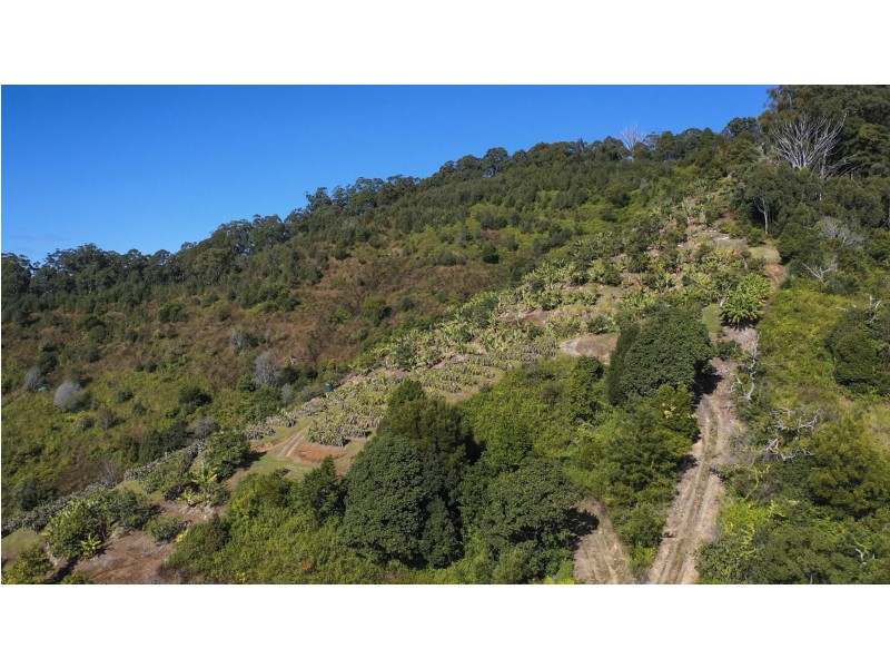 115B – 115 Bennetts Road, Coffs Harbour NSW 2450