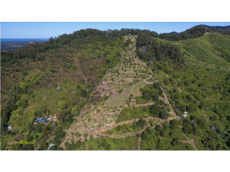 115c Bennetts Road, Coffs Harbour NSW 2450