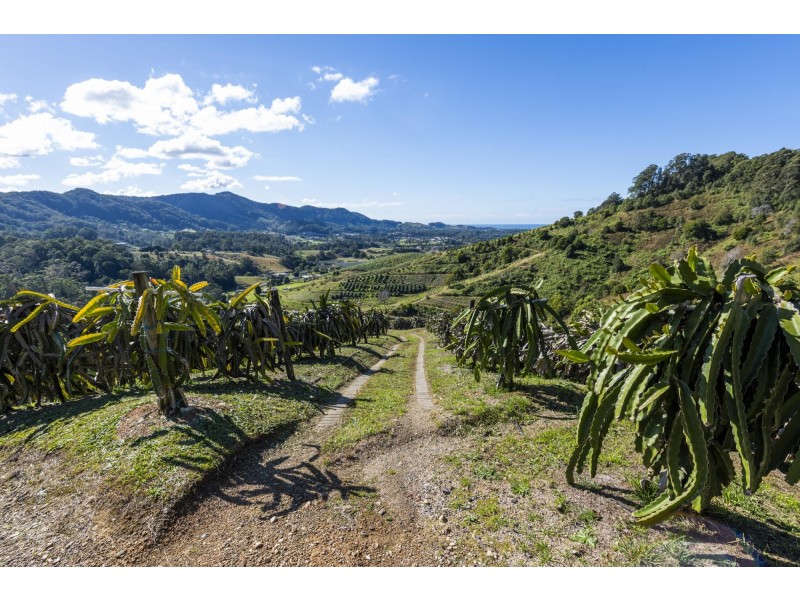 115c Bennetts Road, Coffs Harbour NSW 2450