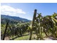 115c Bennetts Road, Coffs Harbour NSW 2450