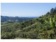 115c Bennetts Road, Coffs Harbour NSW 2450