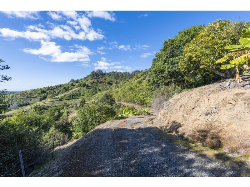 115c Bennetts Road, Coffs Harbour NSW 2450