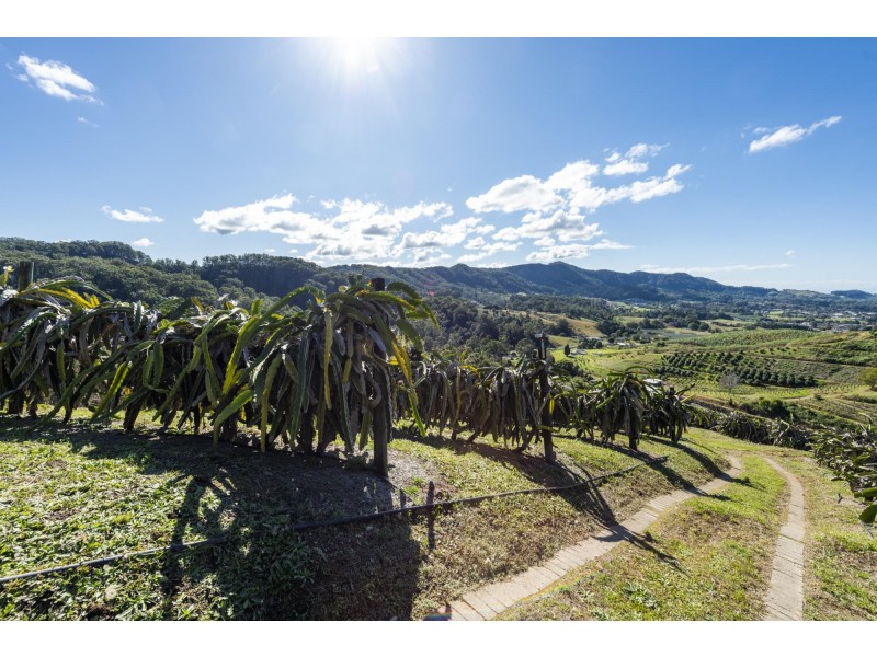 115c Bennetts Road, Coffs Harbour NSW 2450
