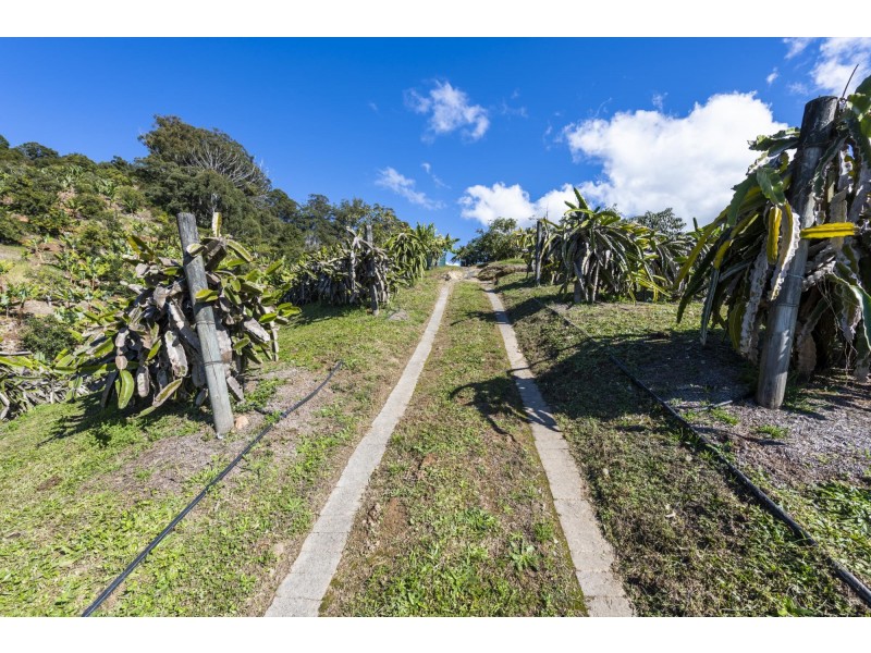 115c Bennetts Road, Coffs Harbour NSW 2450