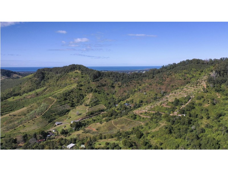 115c Bennetts Road, Coffs Harbour NSW 2450