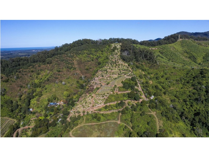 115c Bennetts Road, Coffs Harbour NSW 2450