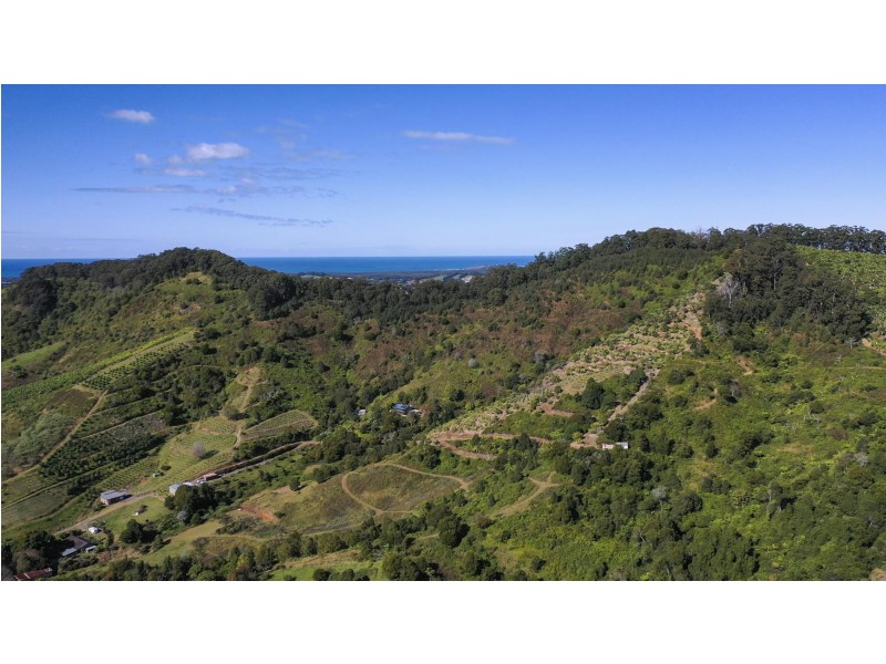 115c Bennetts Road, Coffs Harbour NSW 2450