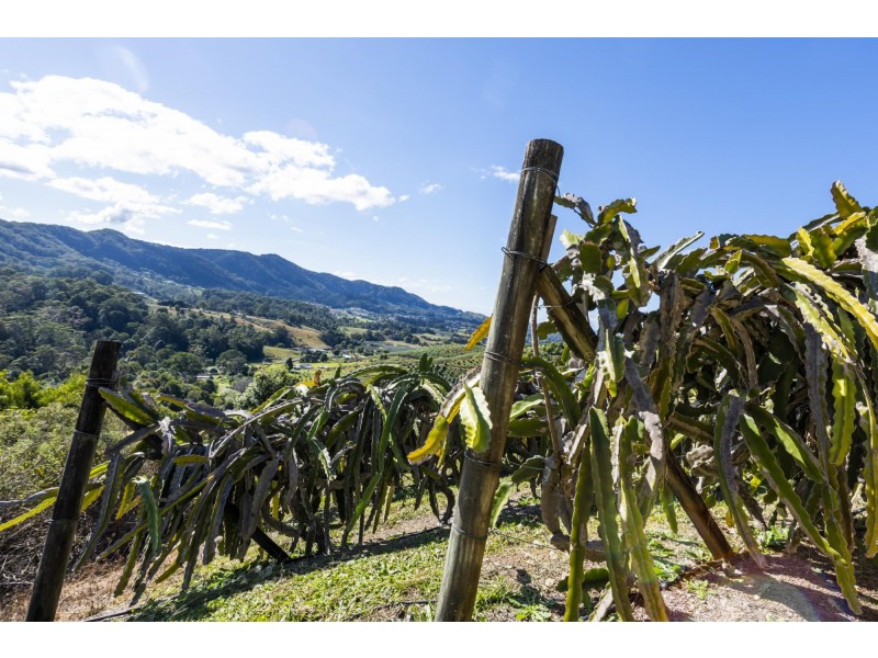 115c Bennetts Road, Coffs Harbour NSW 2450