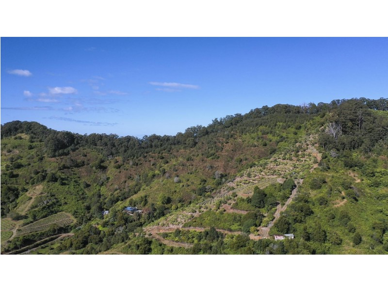 115c Bennetts Road, Coffs Harbour NSW 2450