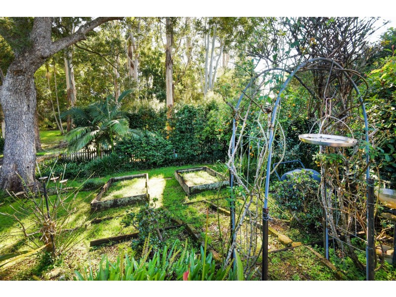 1 Park Street, Bellingen NSW 2454