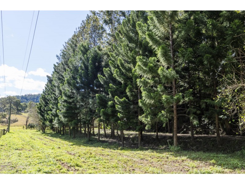 364 Dairyville Road, Upper Orara NSW 2450