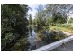 364 Dairyville Road, Upper Orara NSW 2450