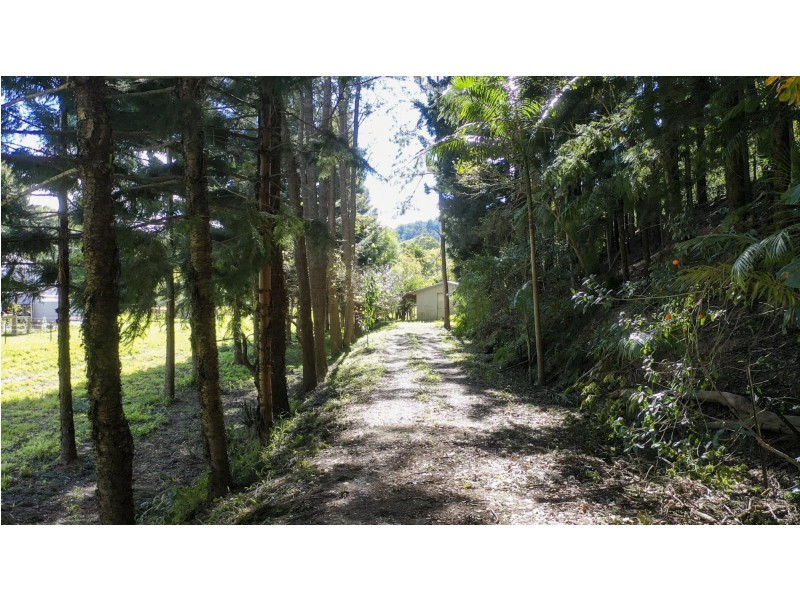 364 Dairyville Road, Upper Orara NSW 2450