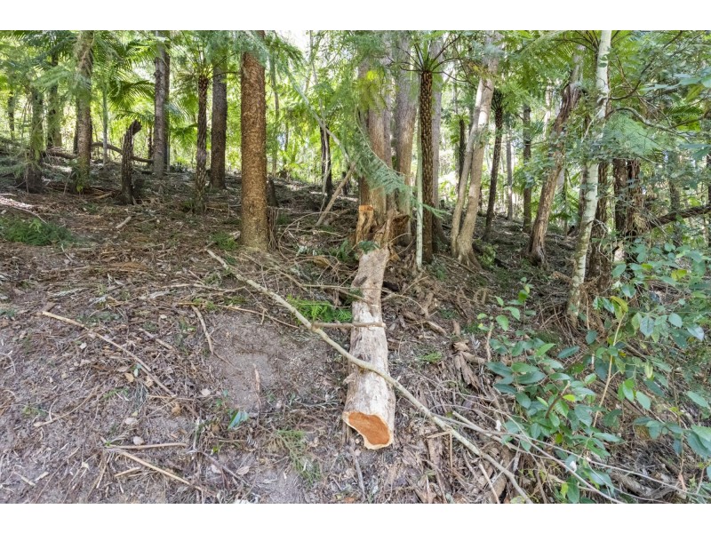 364 Dairyville Road, Upper Orara NSW 2450