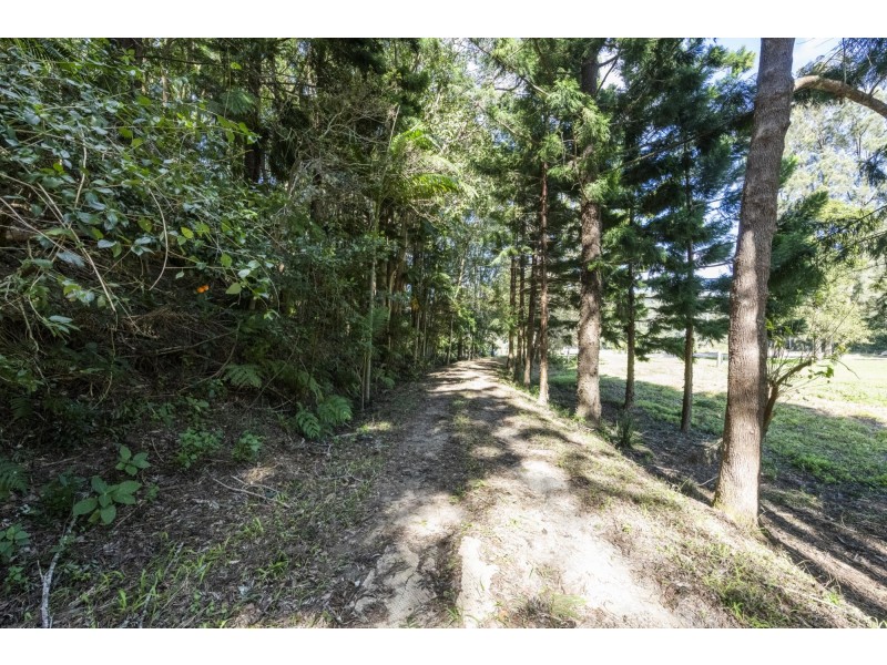 364 Dairyville Road, Upper Orara NSW 2450