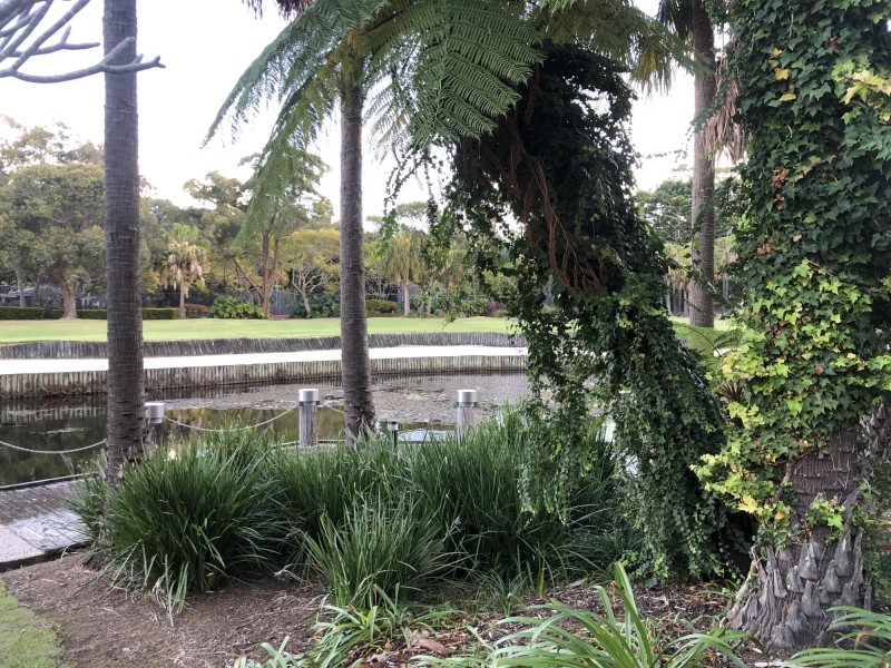 1123-1124/2 Resort Drive, Coffs Harbour NSW 2450