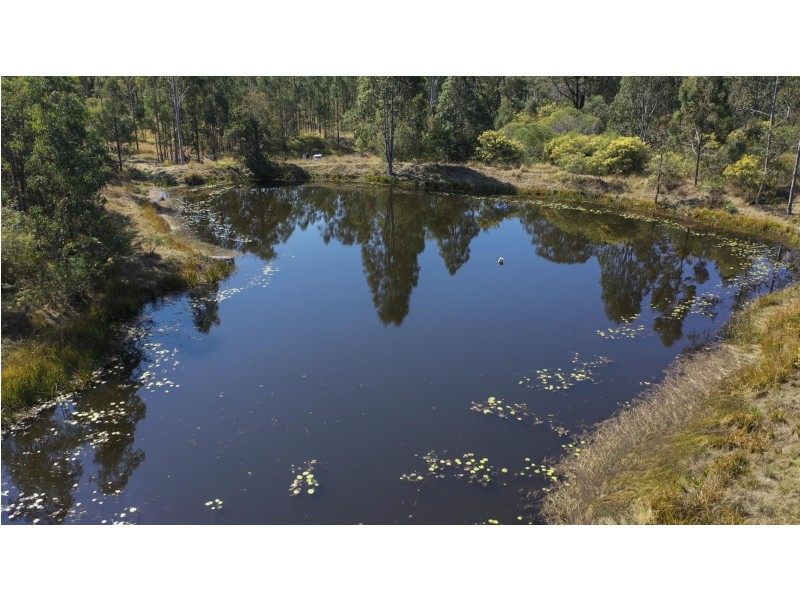 300 Doboy Road, Buccarumbi NSW 2460