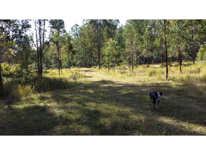 300 Doboy Road, Buccarumbi NSW 2460