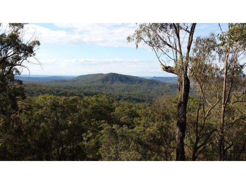 300 Doboy Road, Buccarumbi NSW 2460