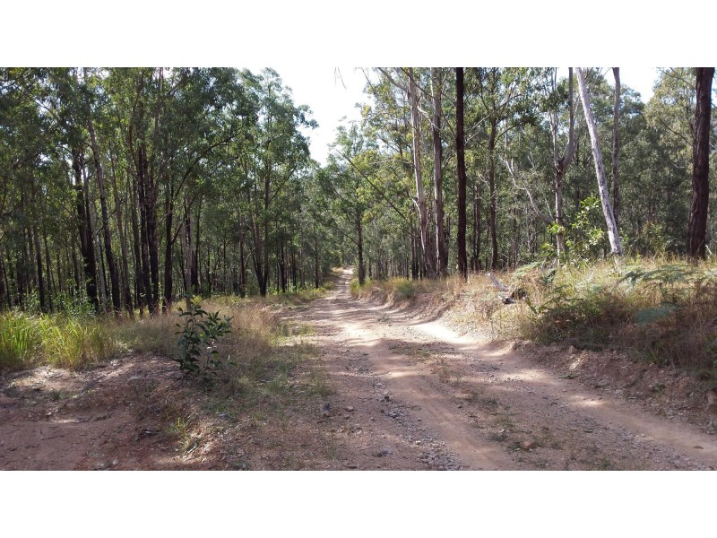 300 Doboy Road, Buccarumbi NSW 2460