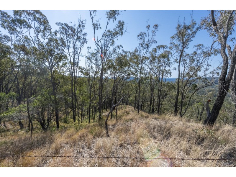 300 Doboy Road, Buccarumbi NSW 2460