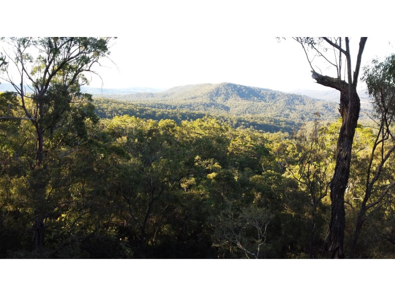 300 Doboy Road, Buccarumbi NSW 2460