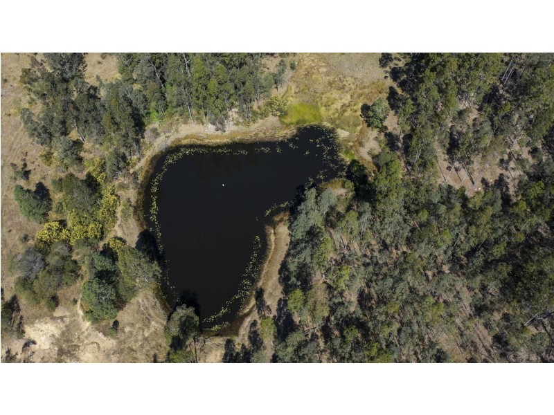 300 Doboy Road, Buccarumbi NSW 2460