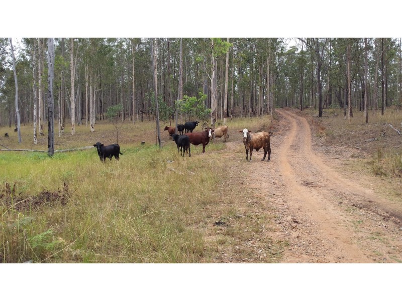 300 Doboy Road, Buccarumbi NSW 2460