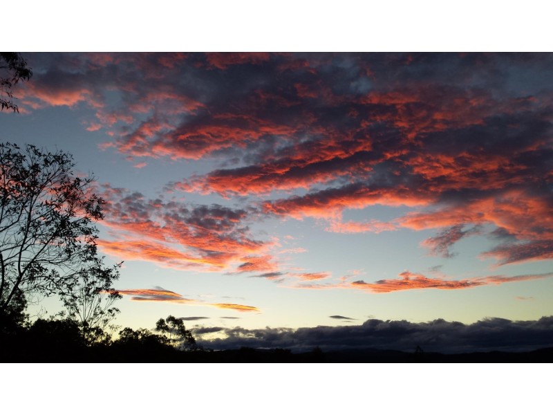 300 Doboy Road, Buccarumbi NSW 2460