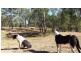 300 Doboy Road, Buccarumbi NSW 2460