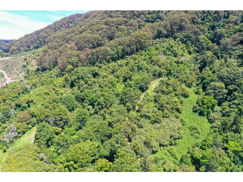 Lot 20 & L Mackays Road, Coffs Harbour NSW 2450