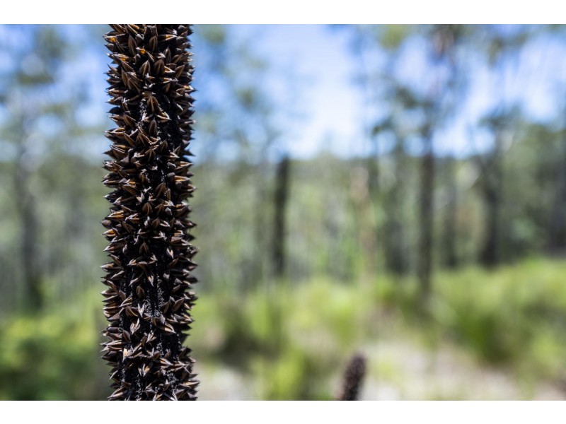 Lot 83 & 1 Upper Corindi Road, Upper Corindi NSW 2456