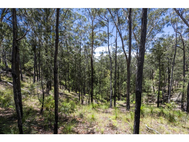 Lot 83 & 1 Upper Corindi Road, Upper Corindi NSW 2456
