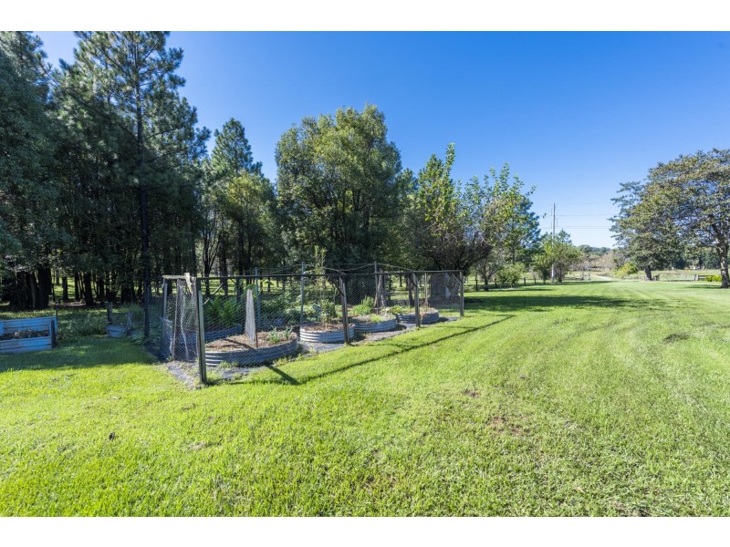 2329 Orara Way, Glenreagh NSW 2450
